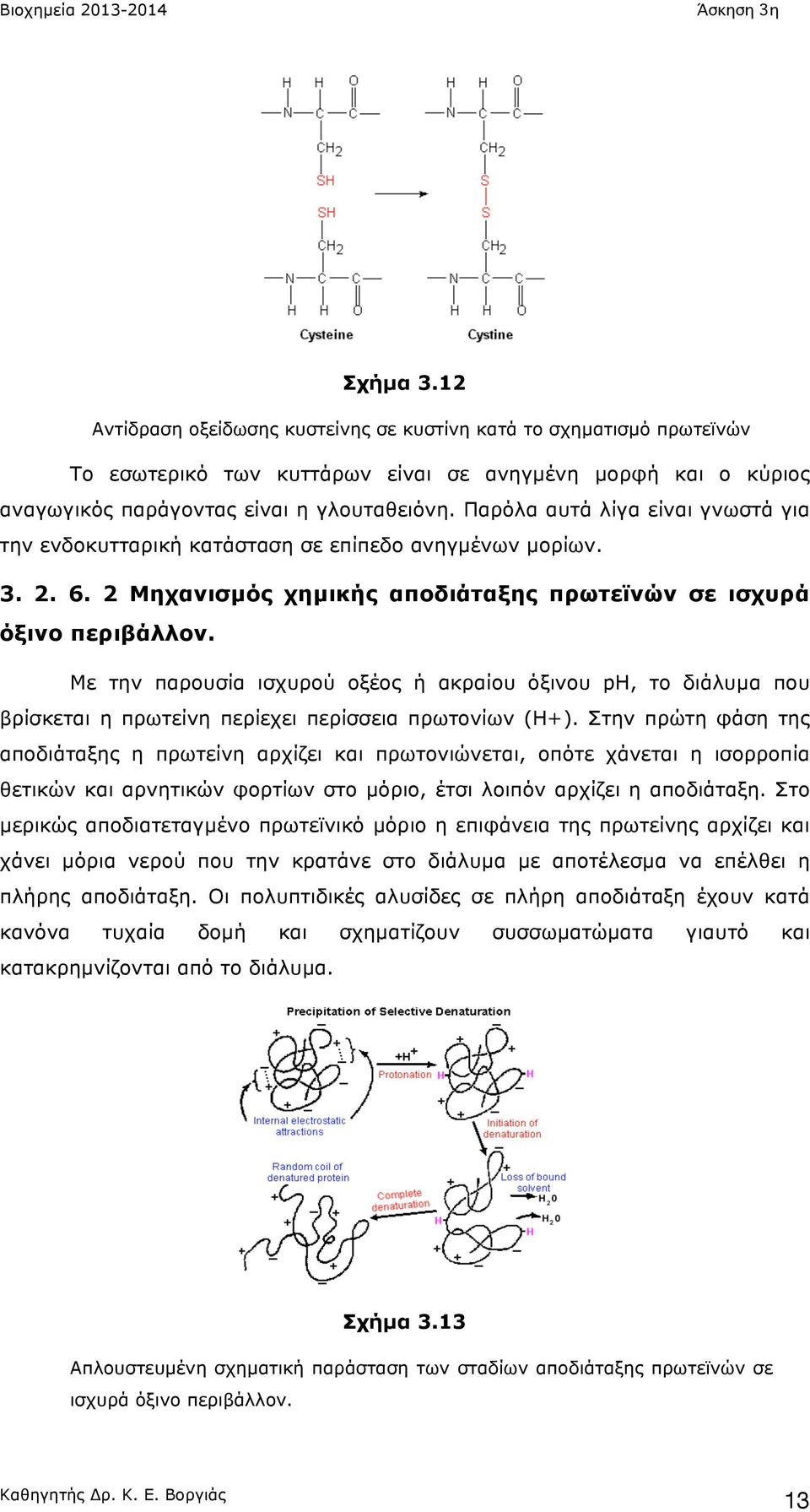 Με την παρουσία ισχυρού οξέος ή ακραίου όξινου ph, το διάλυµα που βρίσκεται η πρωτείνη περίεχει περίσσεια πρωτονίων (Η+).