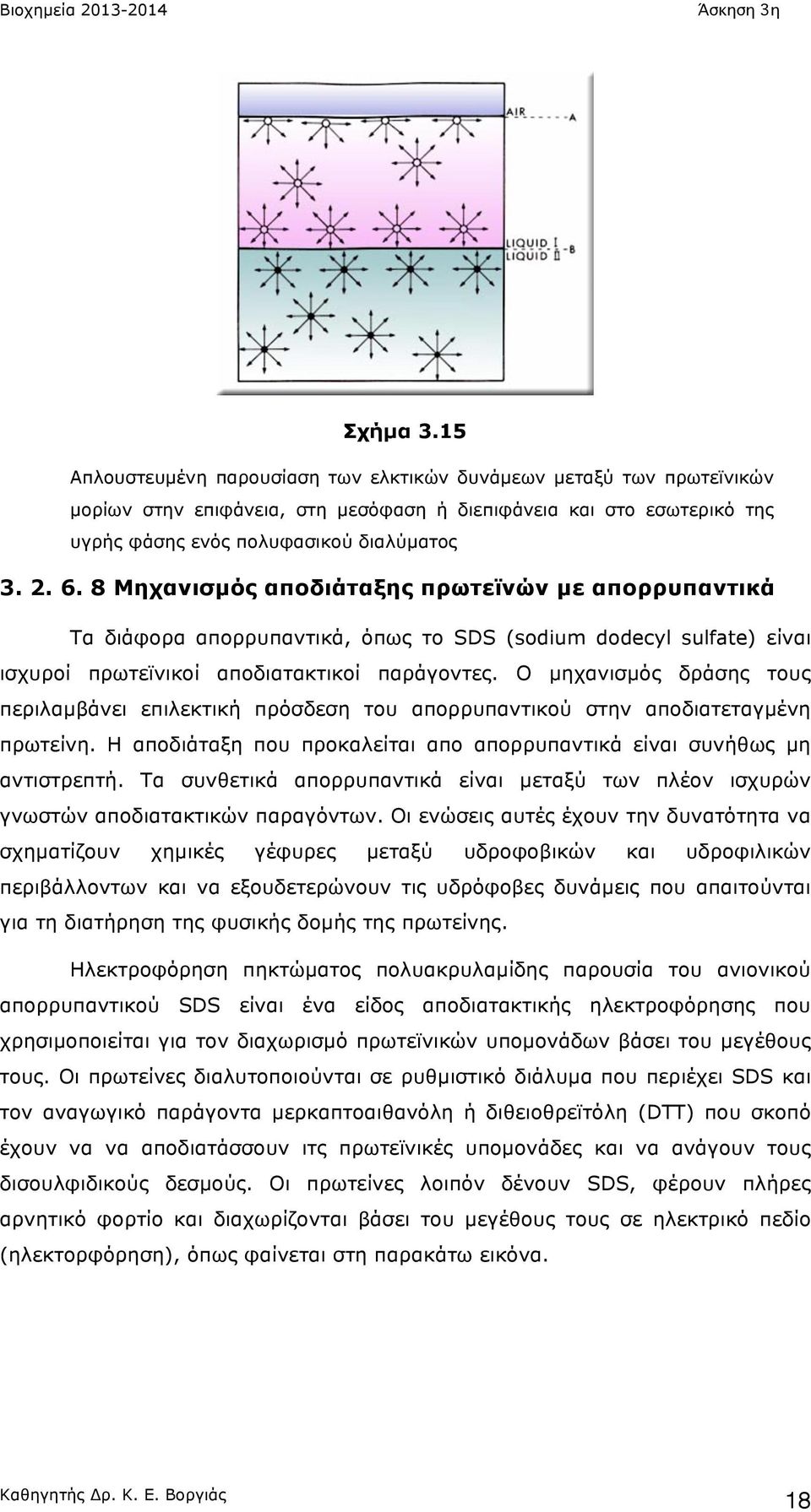 Ο µηχανισµός δράσης τους περιλαµβάνει επιλεκτική πρόσδεση του απορρυπαντικού στην αποδιατεταγµένη πρωτείνη. Η αποδιάταξη που προκαλείται απο απορρυπαντικά είναι συνήθως µη αντιστρεπτή.