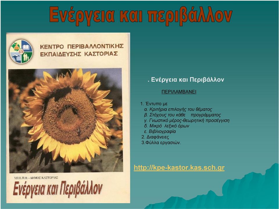Στόχους του κάθε προγράμματος γ.