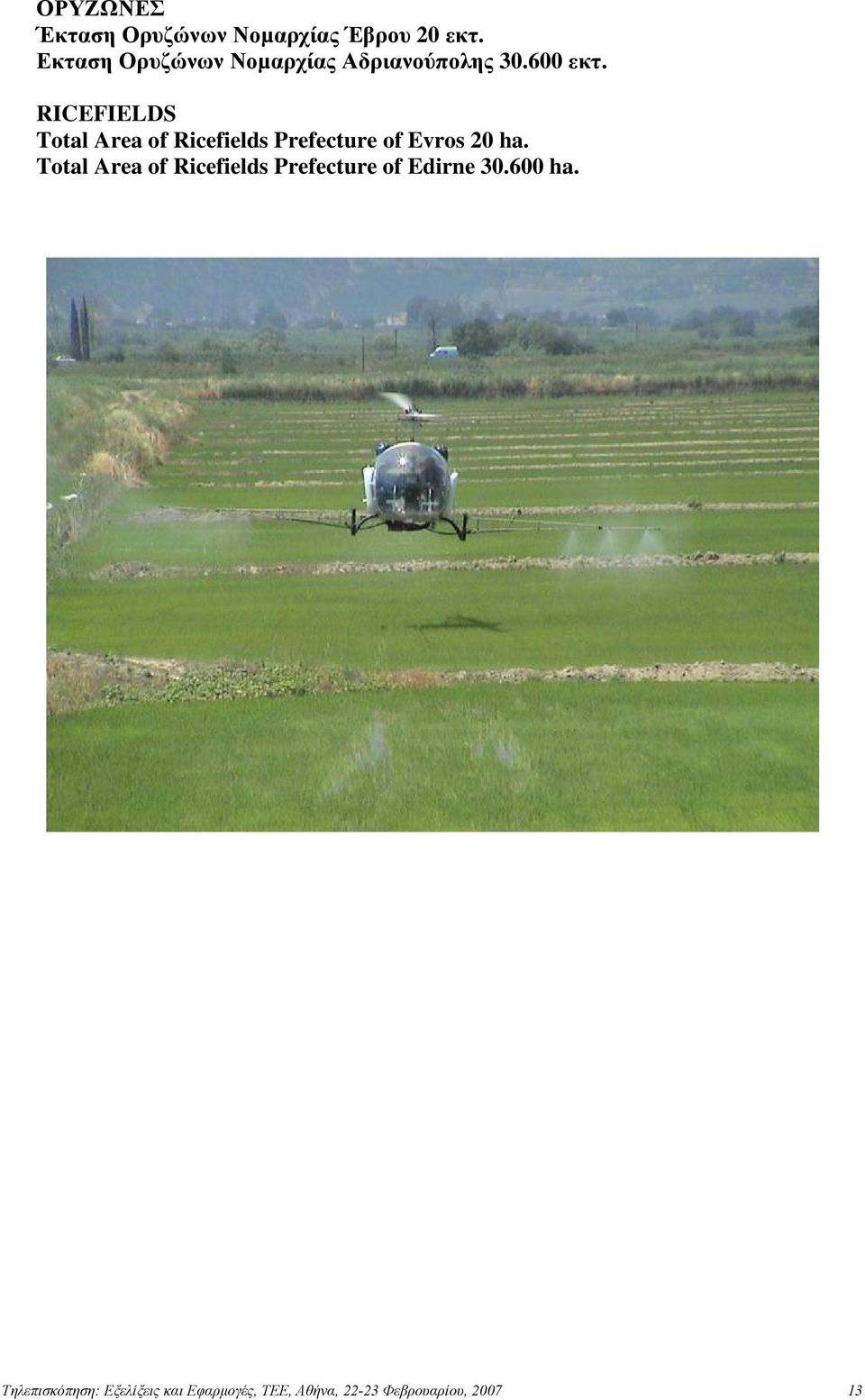 RICEFIELDS Total Area of Ricefields Prefecture of Evros 20 ha.