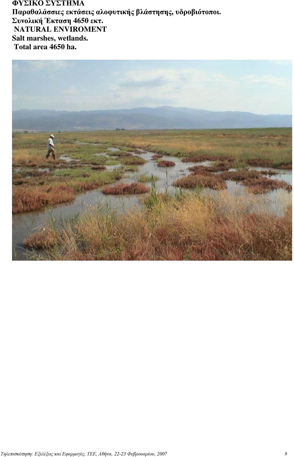 NATURAL ENVIROMENT Salt marshes, wetlands.
