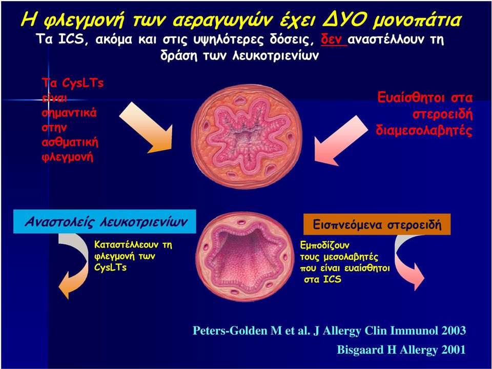 διαµεσολαβητές Αναστολείς λευκοτριενίων Καταστέλλεουν τη φλεγµονή των CysLTs Εισπνεόµενα στεροειδή