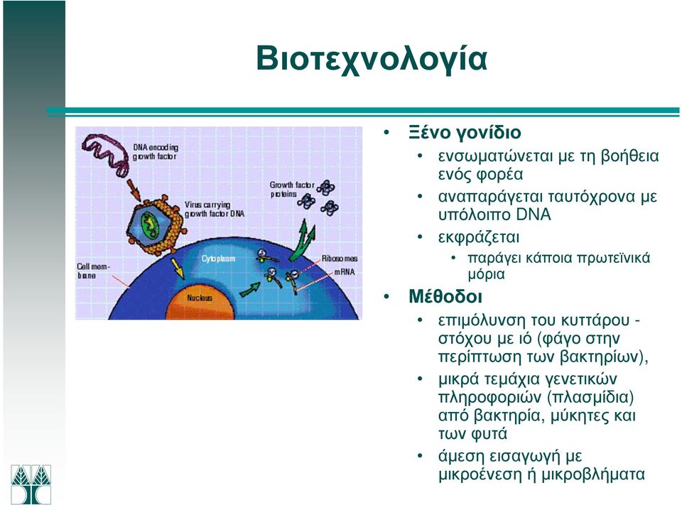 κυττάρου - στόχου µε ιό (φάγο στην περίπτωση των βακτηρίων), µικρά τεµάχια γενετικών