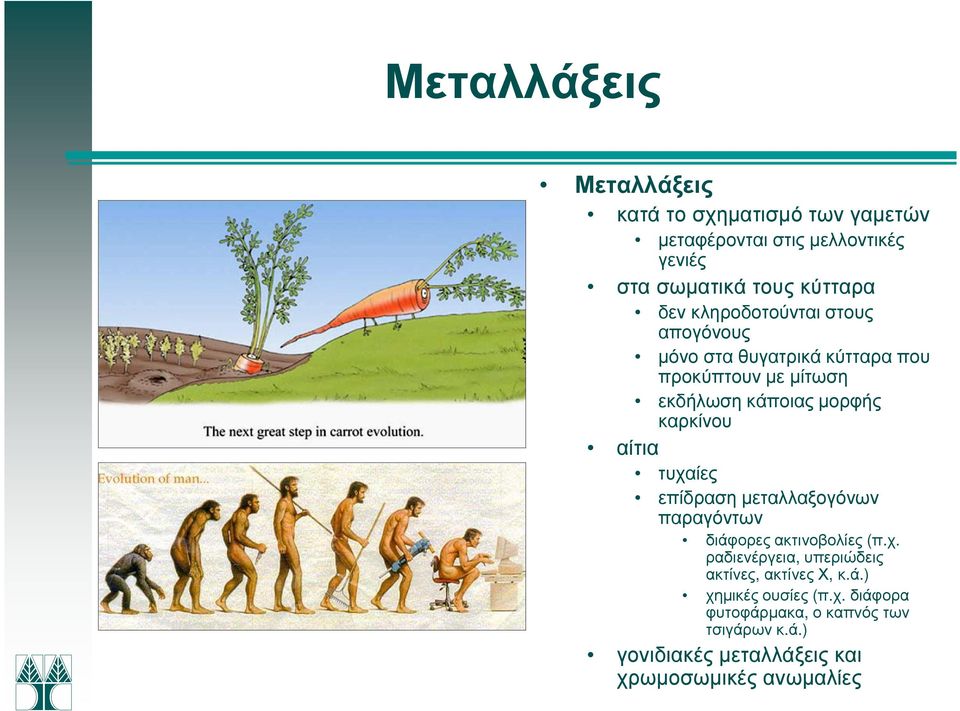 τυχαίες επίδραση µεταλλαξογόνων παραγόντων διάφορες ακτινοβολίες (π.χ. ραδιενέργεια, υπεριώδεις ακτίνες, ακτίνες Χ, κ.ά.) χηµικές ουσίες (π.