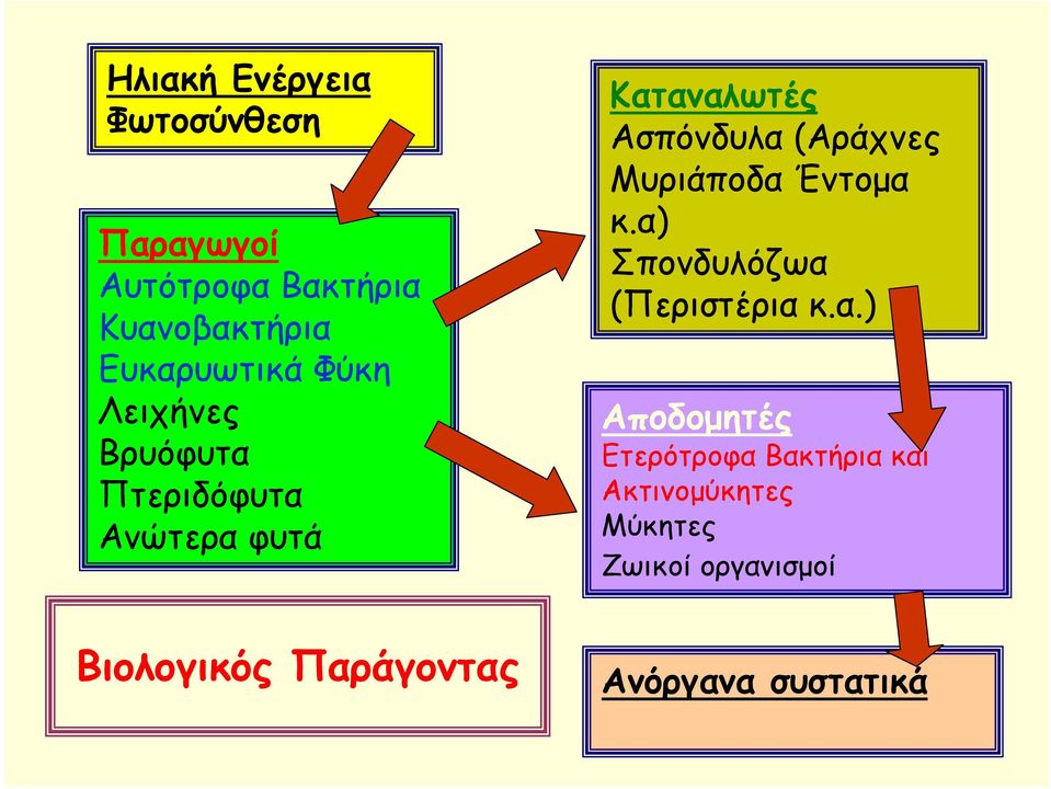 Μυριάποδα 