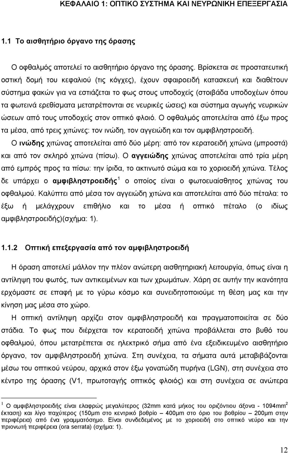 ερεθίσματα μετατρέπονται σε νευρικές ώσεις) και σύστημα αγωγής νευρικών ώσεων από τους υποδοχείς στον οπτικό φλοιό.