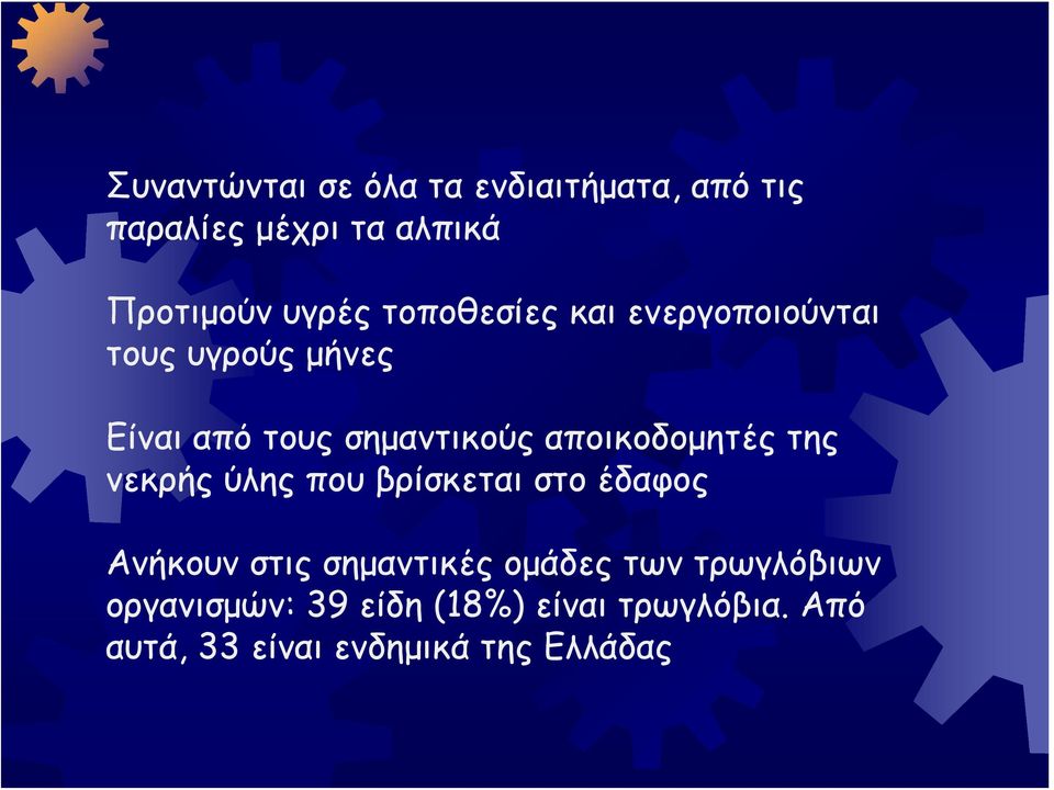 αποικοδομητές της νεκρής ύλης που βρίσκεται στο έδαφος Ανήκουν στις σημαντικές ομάδες