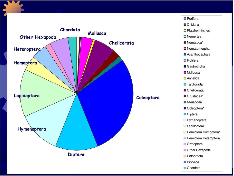 Lepidoptera Coleoptera Chelicerata Crustacea* Myriapoda Coleoptera* Diptera Hymenoptera Hymenoptera