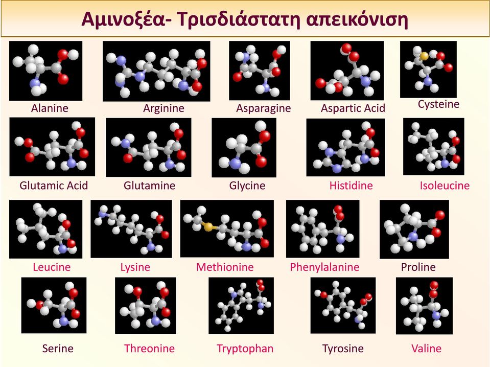 Glutamine Glycine Histidine Isoleucine Leucine Lysine