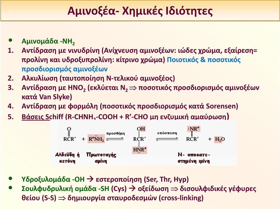 αμινοξέων 2. Αλκυλίωση (ταυτοποίηση Ν τελικού αμινοξέος) 3. Αντίδραση με ΗΝΟ 2 (εκλύεται Ν 2 ποσοτικός προσδιορισμός αμινοξέων κατά Van Slyke) 4.