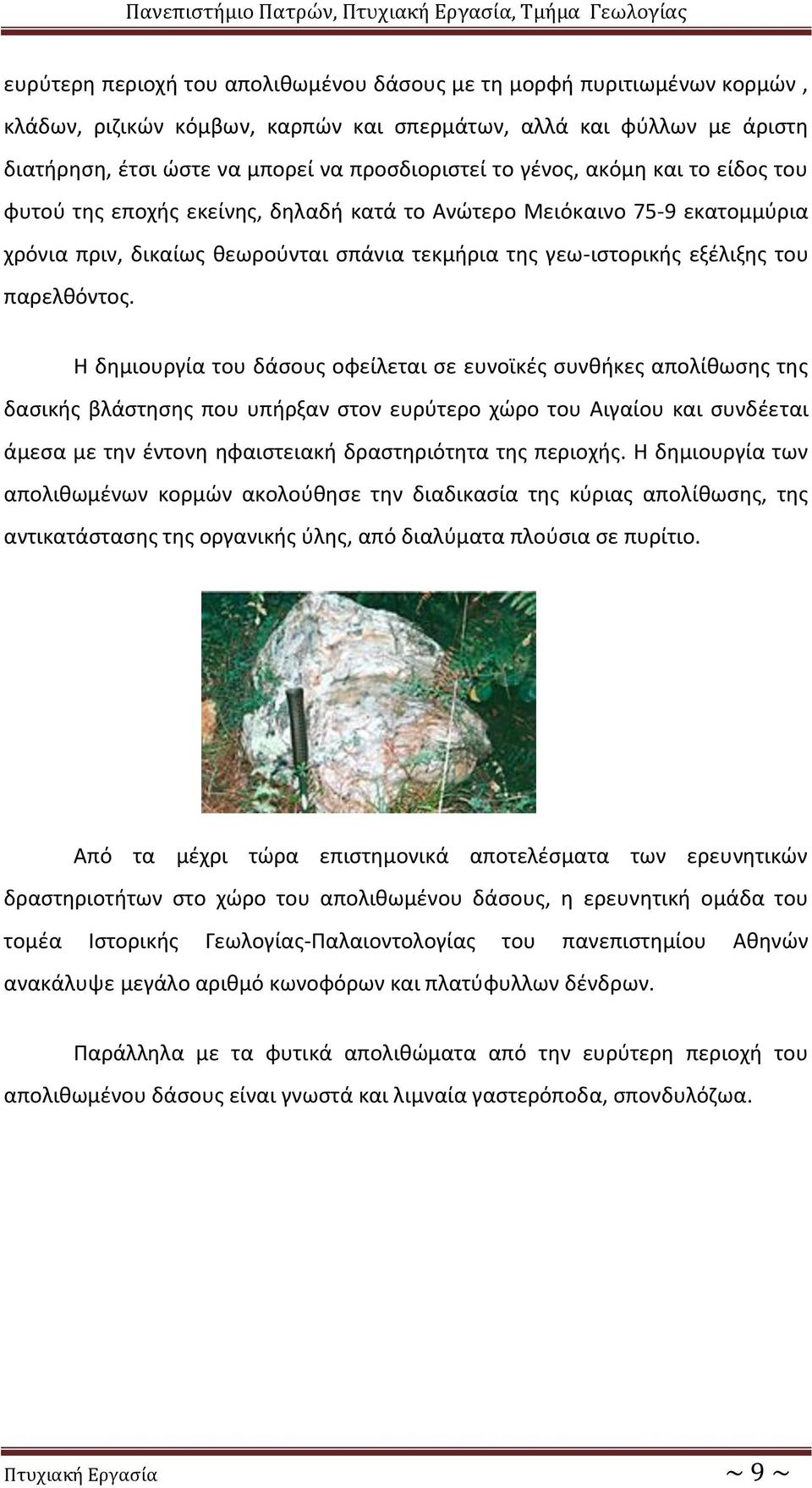 Η δημιουργία του δάσους οφείλεται σε ευνοϊκές συνθήκες απολίθωσης της δασικής βλάστησης που υπήρξαν στον ευρύτερο χώρο του Αιγαίου και συνδέεται άμεσα με την έντονη ηφαιστειακή δραστηριότητα της