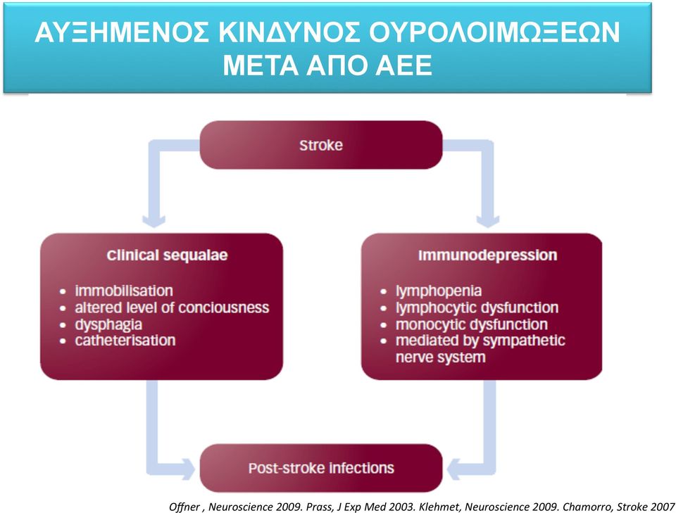 Offner+,+Neuroscience+2009.