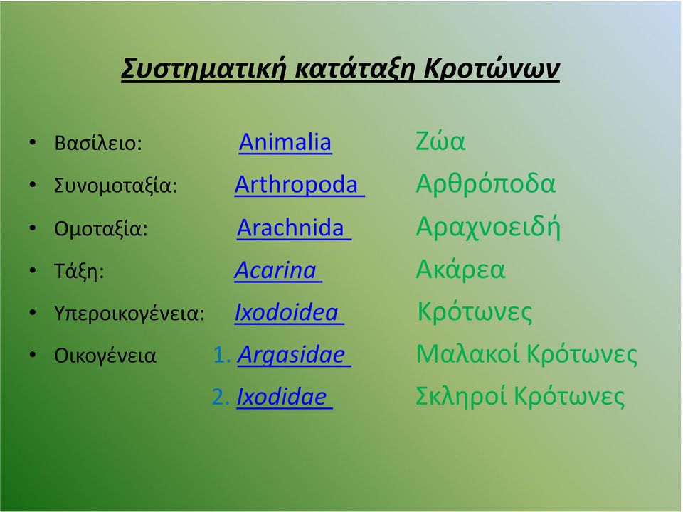 Αραχνοειδή Τάξη: Acarina Ακάρεα Υπεροικογένεια: Ixodoidea