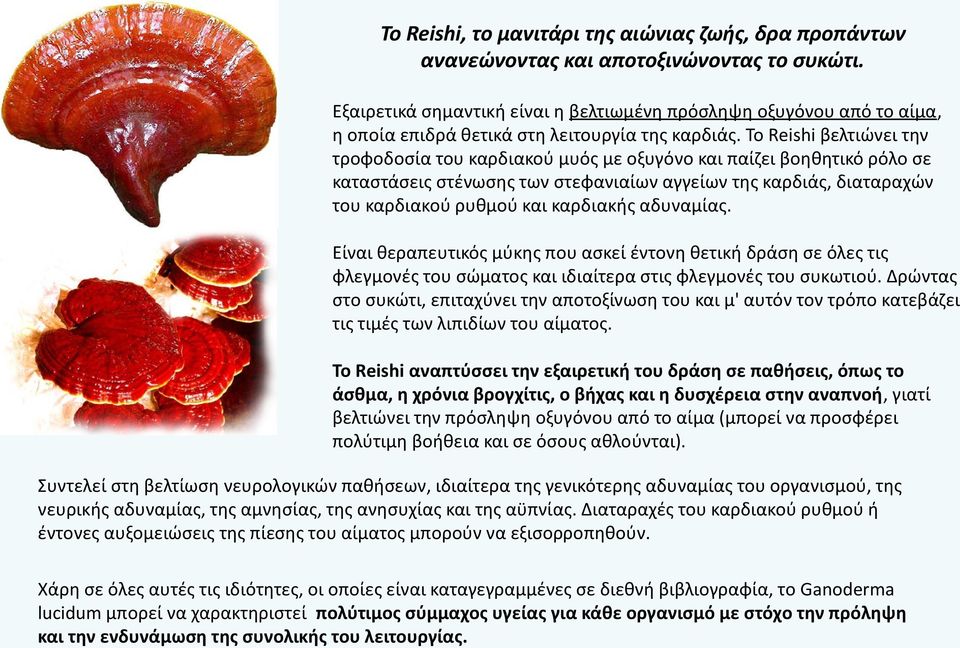 Το Reishi βελτιώνει την τροφοδοσία του καρδιακού μυός με οξυγόνο και παίζει βοηθητικό ρόλο σε καταστάσεις στένωσης των στεφανιαίων αγγείων της καρδιάς, διαταραχών του καρδιακού ρυθμού και καρδιακής