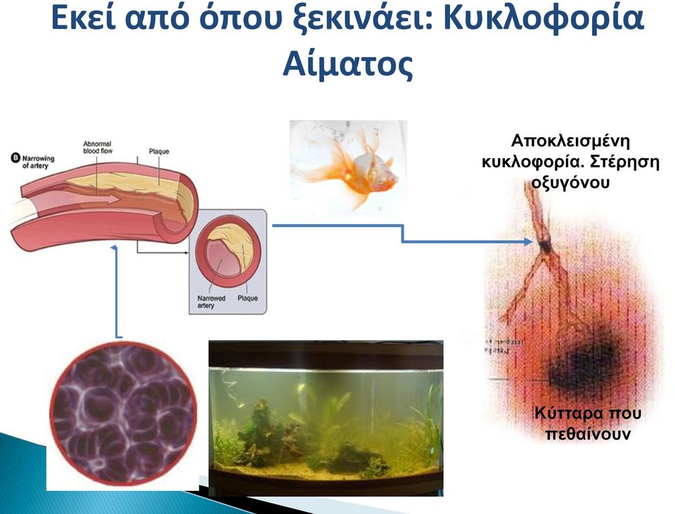 Αποκλεισμένη κυκλοφορία.