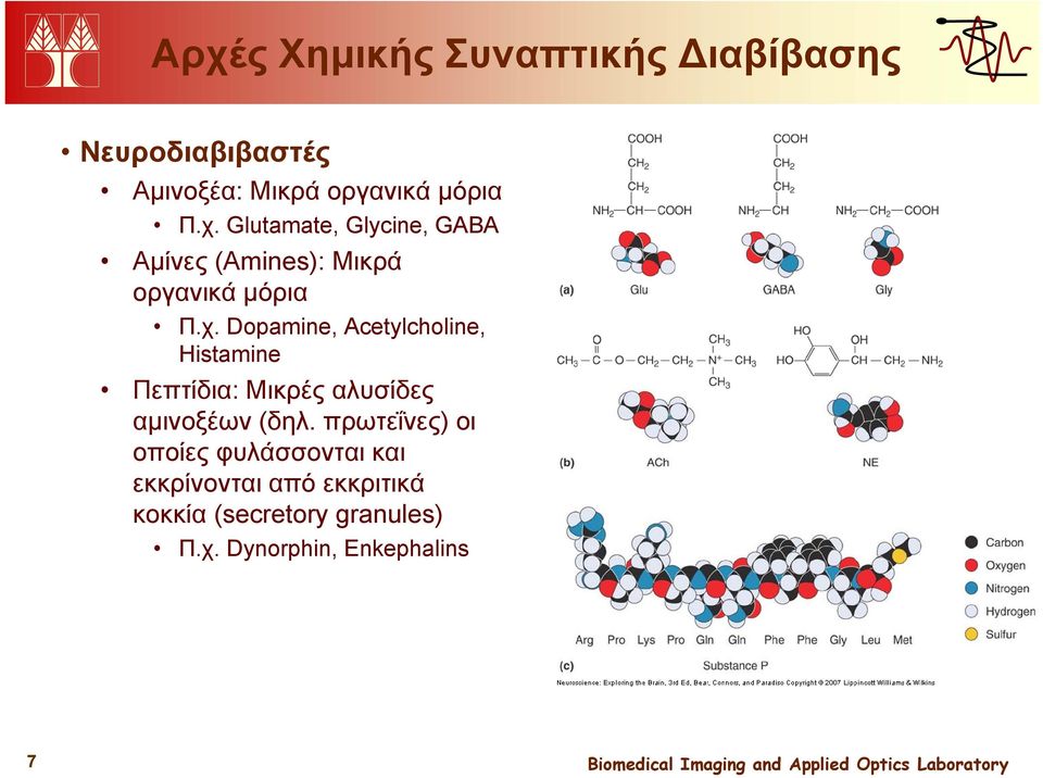 πρωτεΐνες) οι οποίες φυλάσσονται και εκκρίνονται από εκκριτικά κοκκία (secretory