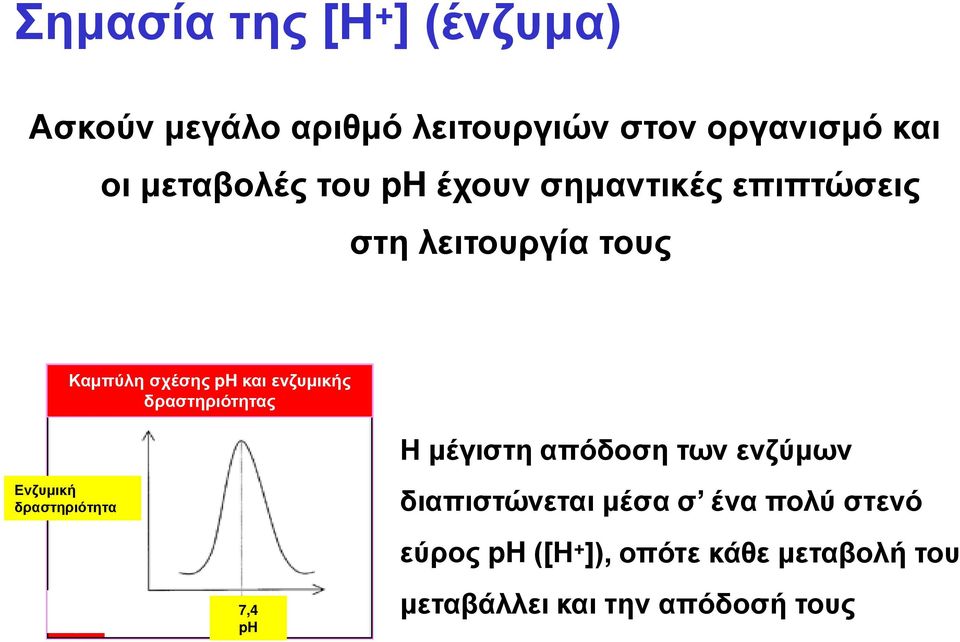 ενζυμικής δραστηριότητας Η μέγιστη απόδοση των ενζύμων Ενζυμική δραστηριότητα 7,4 ph