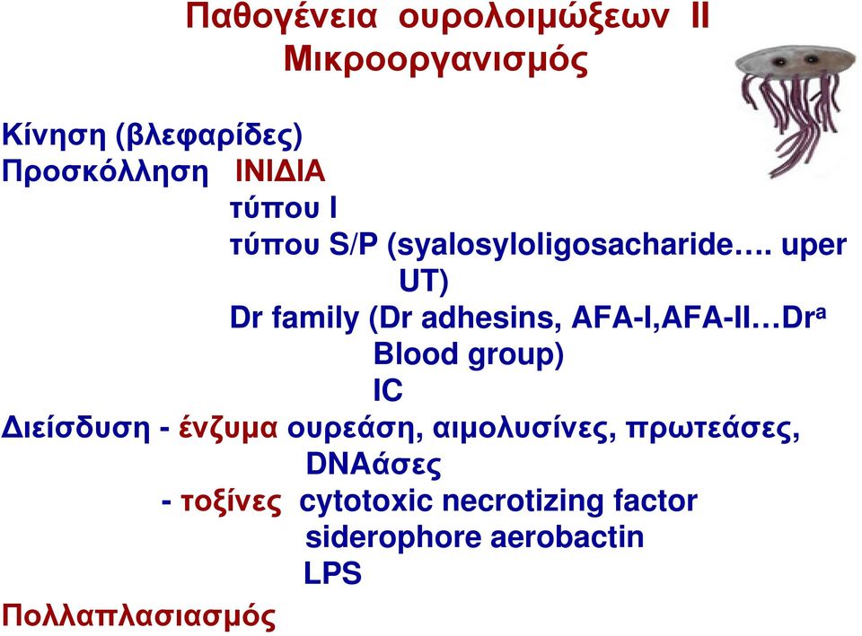 uper UT) Dr family (Dr adhesins, AFA-I,AFA-II Dr a Blood group) IC Διείσδυση -