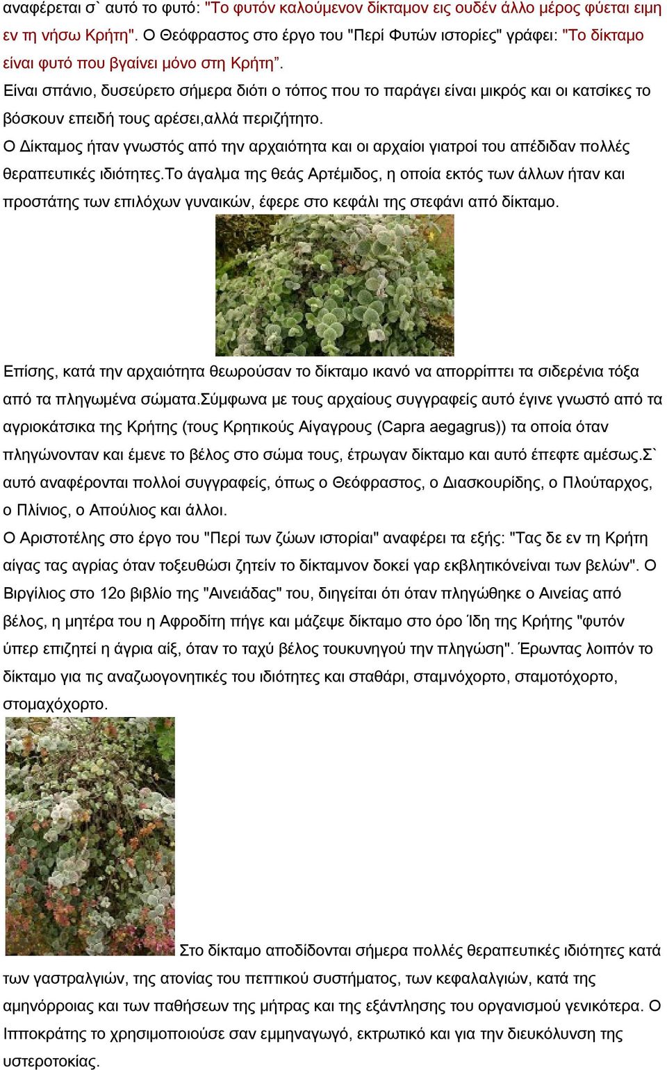 Είναι σπάνιο, δυσεύρετο σήμερα διότι ο τόπος που το παράγει είναι μικρός και οι κατσίκες το βόσκουν επειδή τους αρέσει,αλλά περιζήτητο.