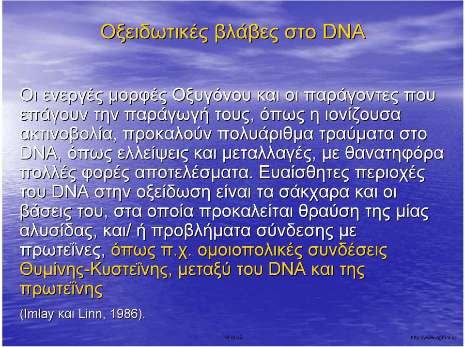 Ευαίσθητες περιοχές του DNA στην οξείδωση είναι τα σάκχαρα και οι βάσεις του, στα οποία προκαλείται θραύση της μίας αλυσίδας, και/ ή