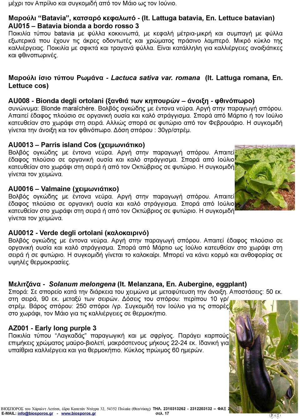 πράσινο λαμπερό. Μικρό κύκλο της καλλιέργειας. Ποικιλία με σφικτά και τραγανά φύλλα. Είναι κατάλληλη για καλλιέργειες ανοιξιάτικες και φθινοπωρινές. Μαρούλι ίσιο τύπου Ρωμάνα - Lactuca sativa var.