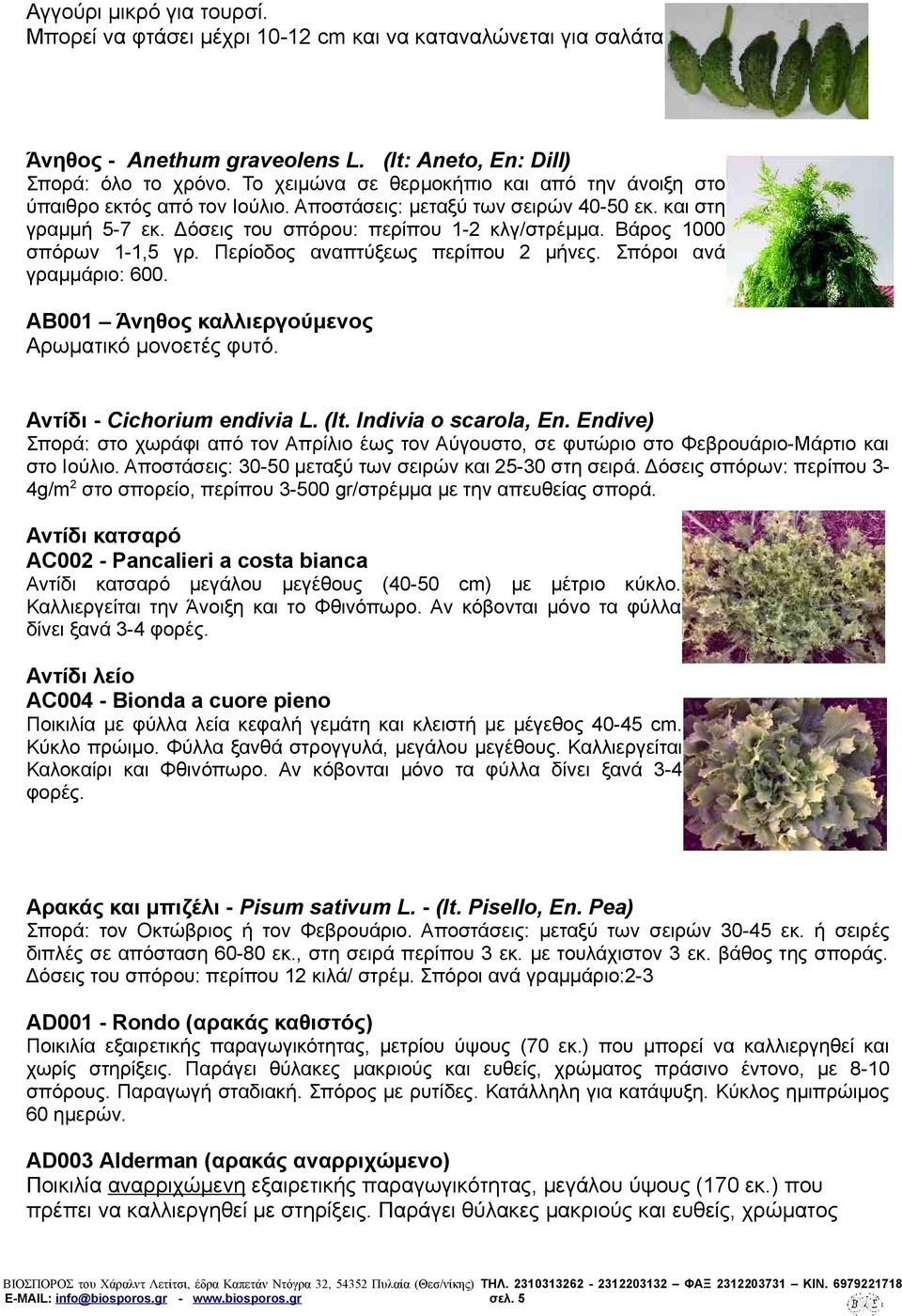 Βάρος 1000 σπόρων 1-1,5 γρ. Περίοδος αναπτύξεως περίπου 2 μήνες. Σπόροι ανά γραμμάριο: 600. AB001 Άνηθος καλλιεργούμενος Αρωματικό μονοετές φυτό. Αντίδι - Cichorium endivia L. (It.