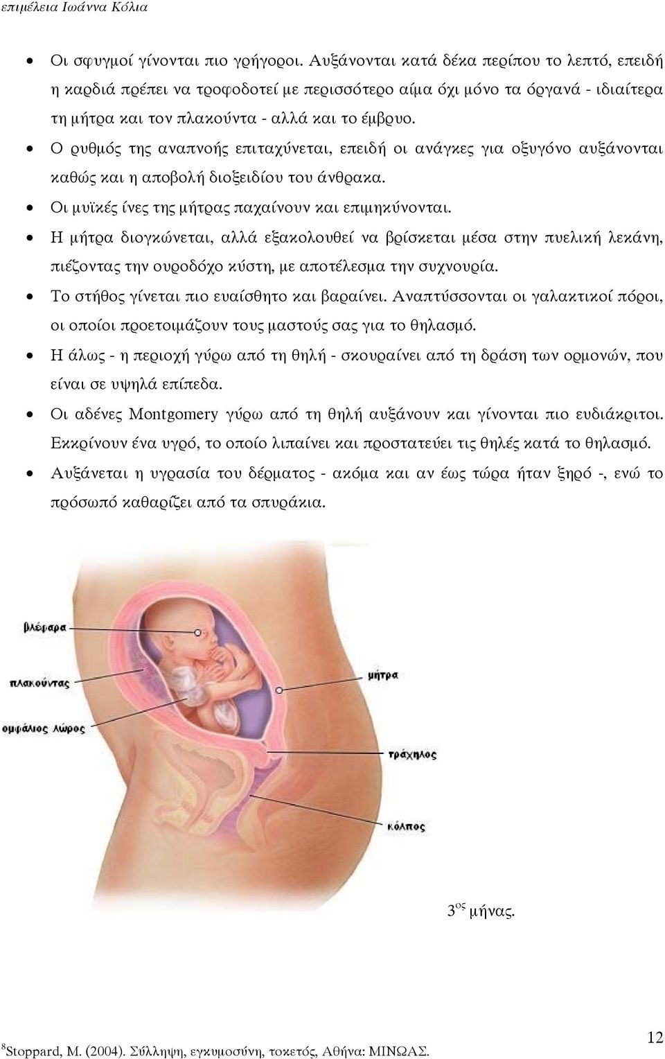 Ο ρυθµός της αναπνοής επιταχύνεται, επειδή οι ανάγκες για οξυγόνο αυξάνονται καθώς και η αποβολή διοξειδίου του άνθρακα. Οι µυϊκές ίνες της µήτρας παχαίνουν και επιµηκύνονται.