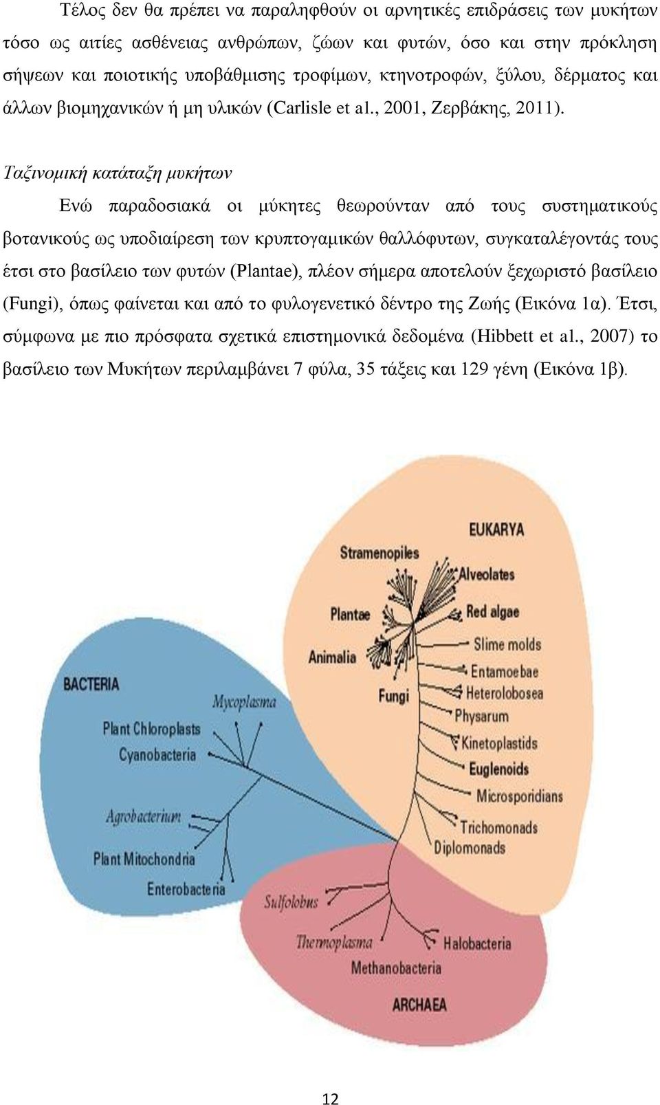 Ταξινομική κατάταξη μυκήτων Ενώ παραδοσιακά οι μύκητες θεωρούνταν από τους συστηματικούς βοτανικούς ως υποδιαίρεση των κρυπτογαμικών θαλλόφυτων, συγκαταλέγοντάς τους έτσι στο βασίλειο των φυτών