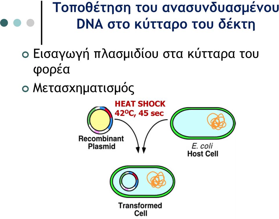 πλασμιδίου στα κύτταρα του φορέα