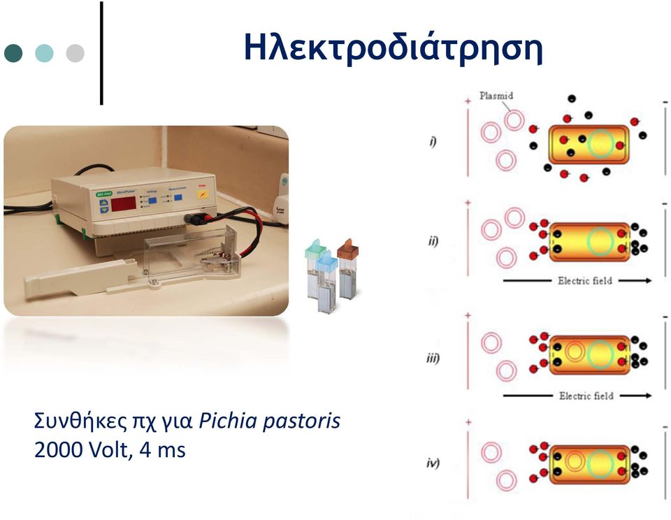 2000 Volt, 4 ms