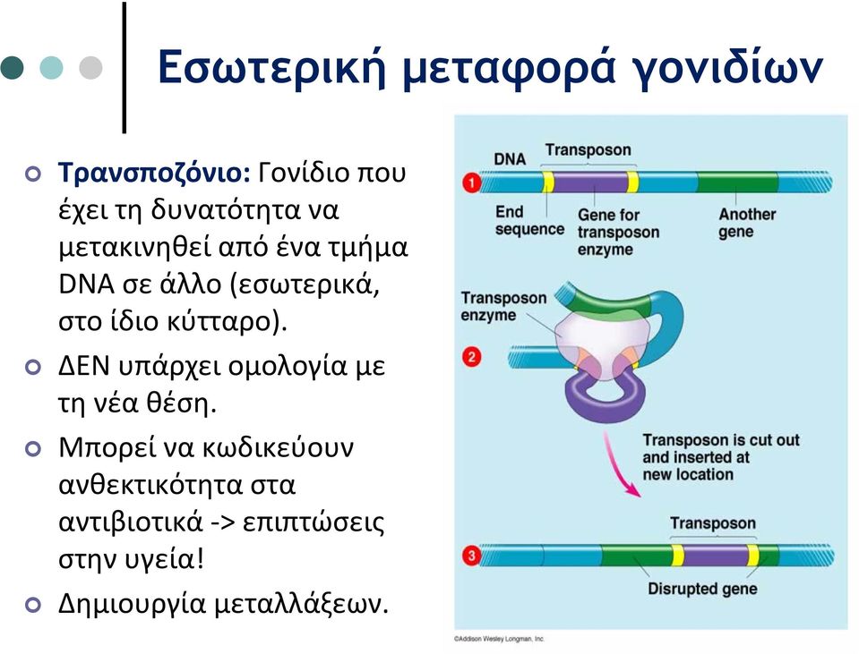 ίδιο κύτταρο). ΔΕΝ υπάρχει ομολογία με τη νέα θέση.