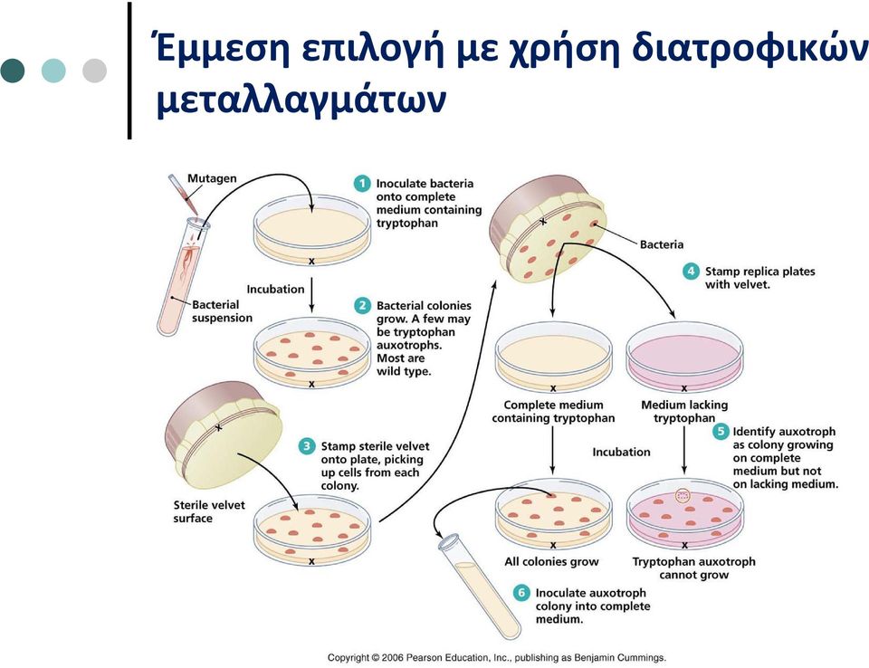 χρήση