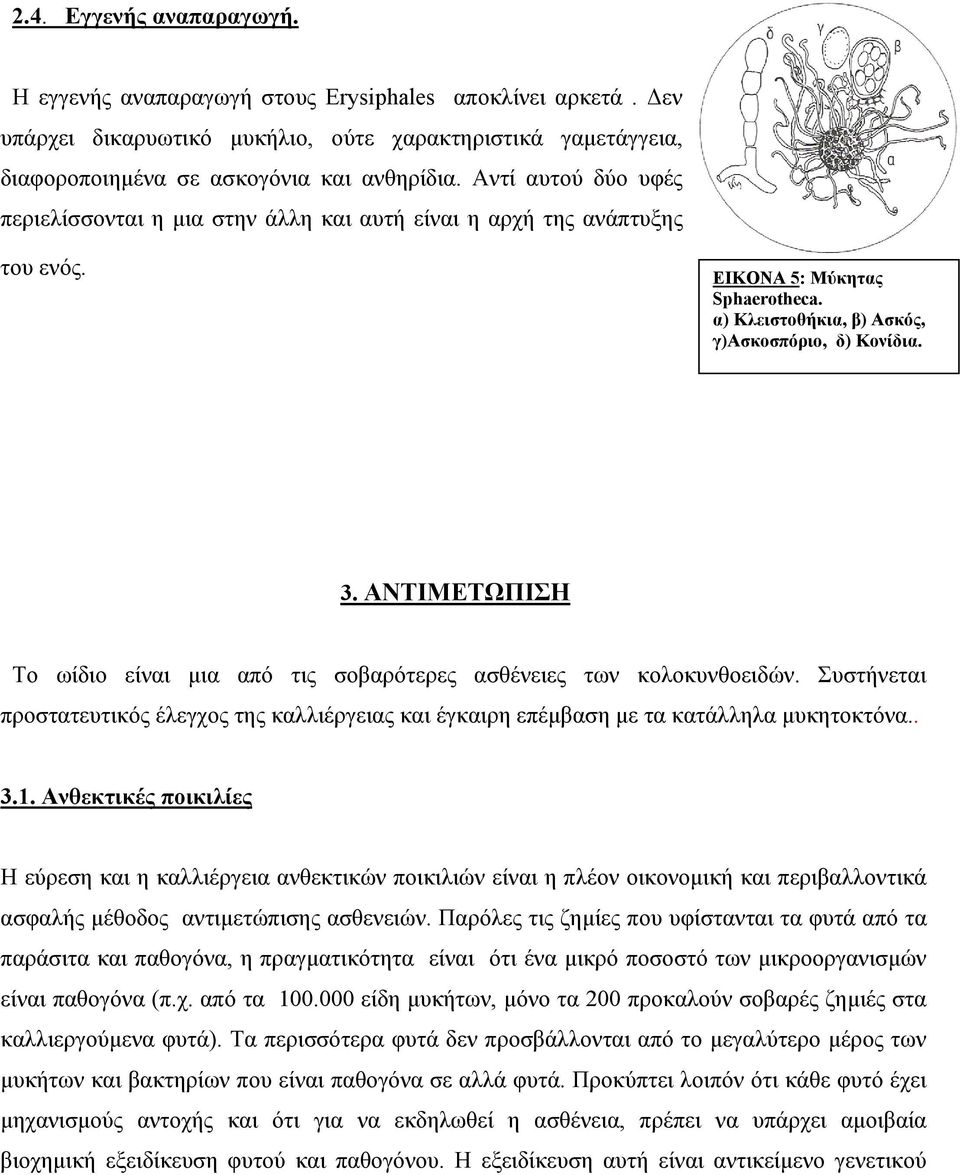 ΑΝΤΙΜΕΤΩΠΙΣΗ Το ωίδιο είναι μια από τις σοβαρότερες ασθένειες των κολοκυνθοειδών. Συστήνεται προστατευτικός έλεγχος της καλλιέργειας και έγκαιρη επέμβαση με τα κατάλληλα μυκητοκτόνα.. 3.1.