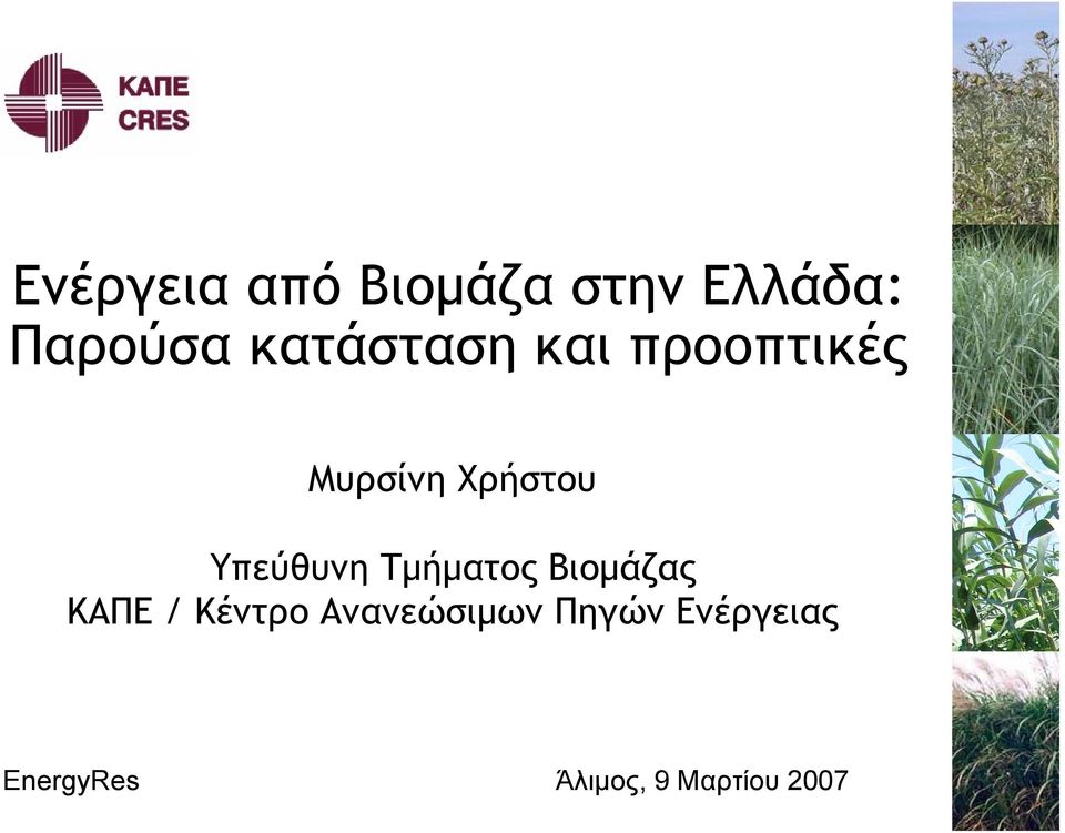 Υπεύθυνη Τμήματος Βιομάζας ΚΑΠΕ / Κέντρο