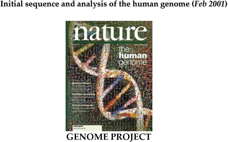 the human genome