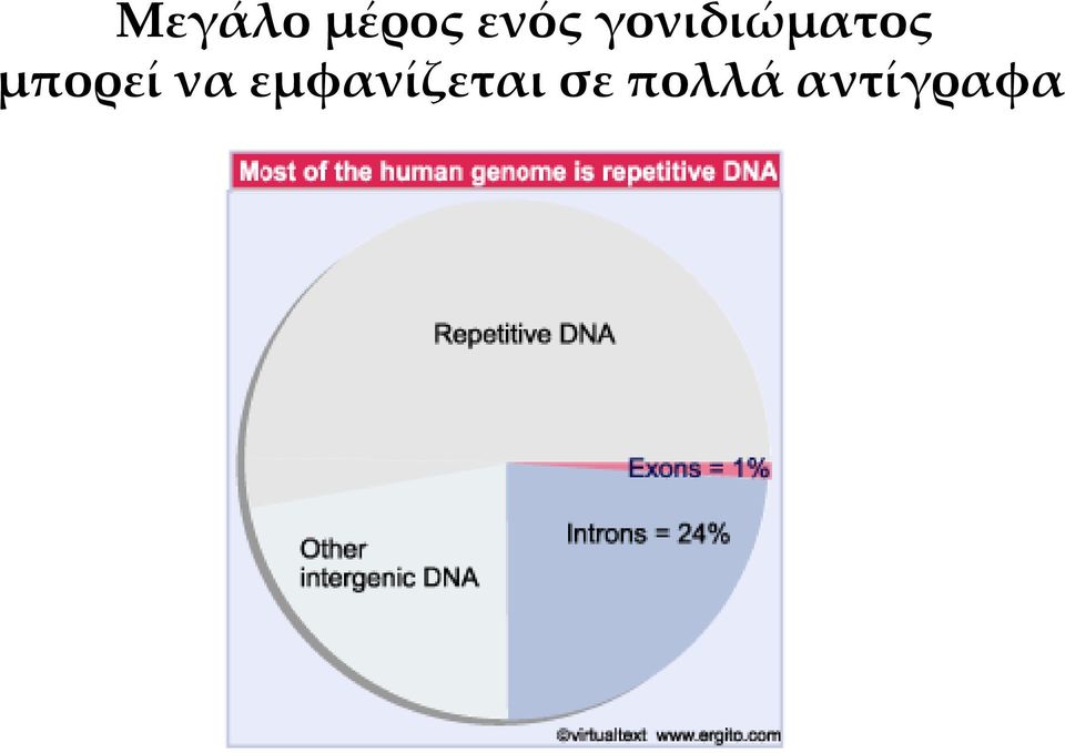 μπορεί να