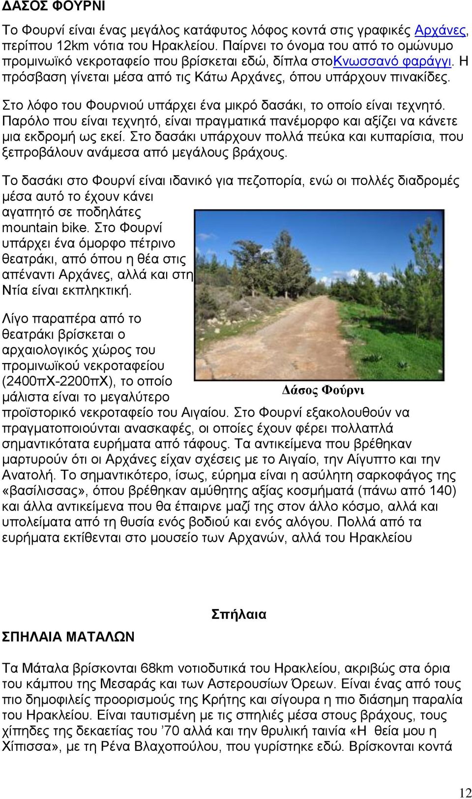 Στο λόφο του Φουρνιού υπάρχει ένα μικρό δασάκι, το οποίο είναι τεχνητό. Παρόλο που είναι τεχνητό, είναι πραγματικά πανέμορφο και αξίζει να κάνετε μια εκδρομή ως εκεί.