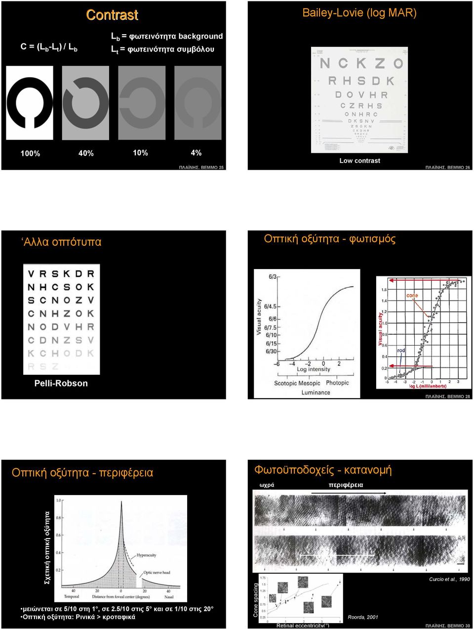 οξύτητα - περιφέρεια Φωτοϋποδοχείς - κατανοµή ωχρά κηλίδα περιφέρεια Σχετική οπτική οξύτητα Curcio et al.