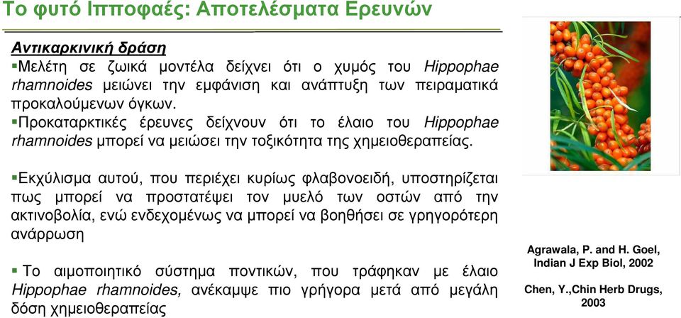 Εκχύλισµα αυτού, που περιέχει κυρίως φλαβονοειδή, υποστηρίζεται πως µπορεί να προστατέψει τον µυελό των οστών από την ακτινοβολία, ενώ ενδεχοµένως να µπορεί να βοηθήσει σε