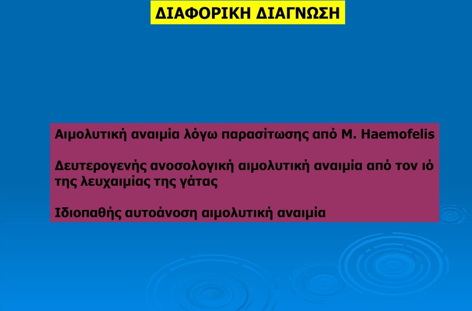 Haemofelis Δευτερογενής ανοσολογική αιμολυτική