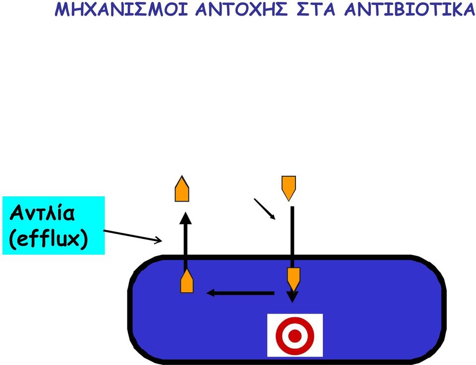 ΜΗΧΑΝΙΣΜΟΙ