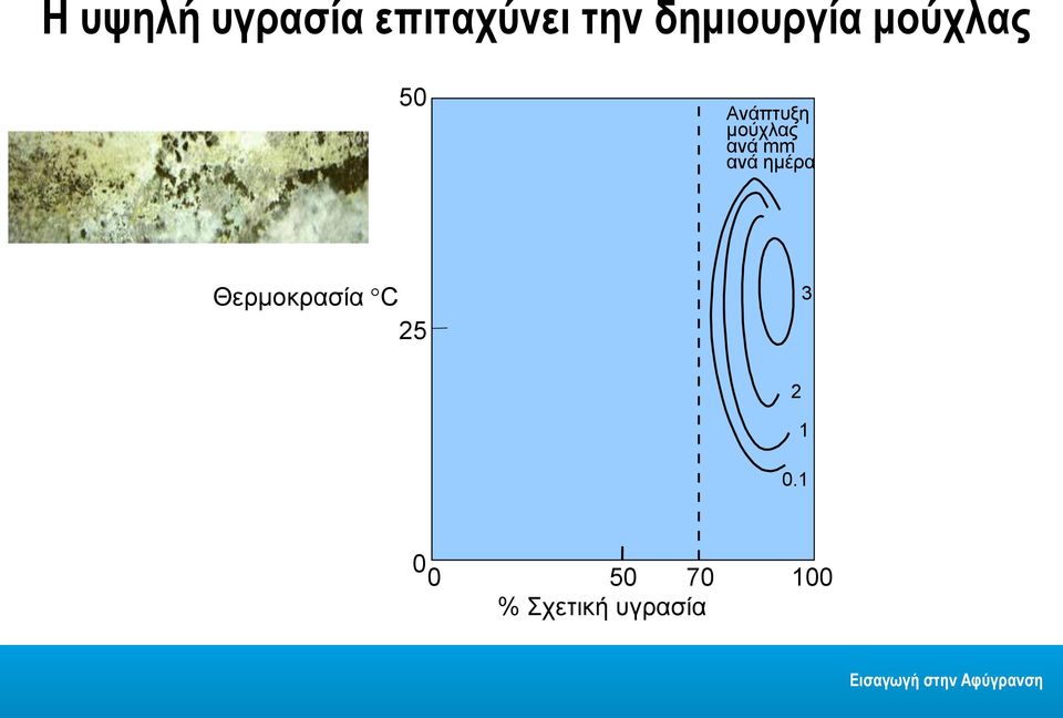 μούχλας ανά mm ανά ημέρα