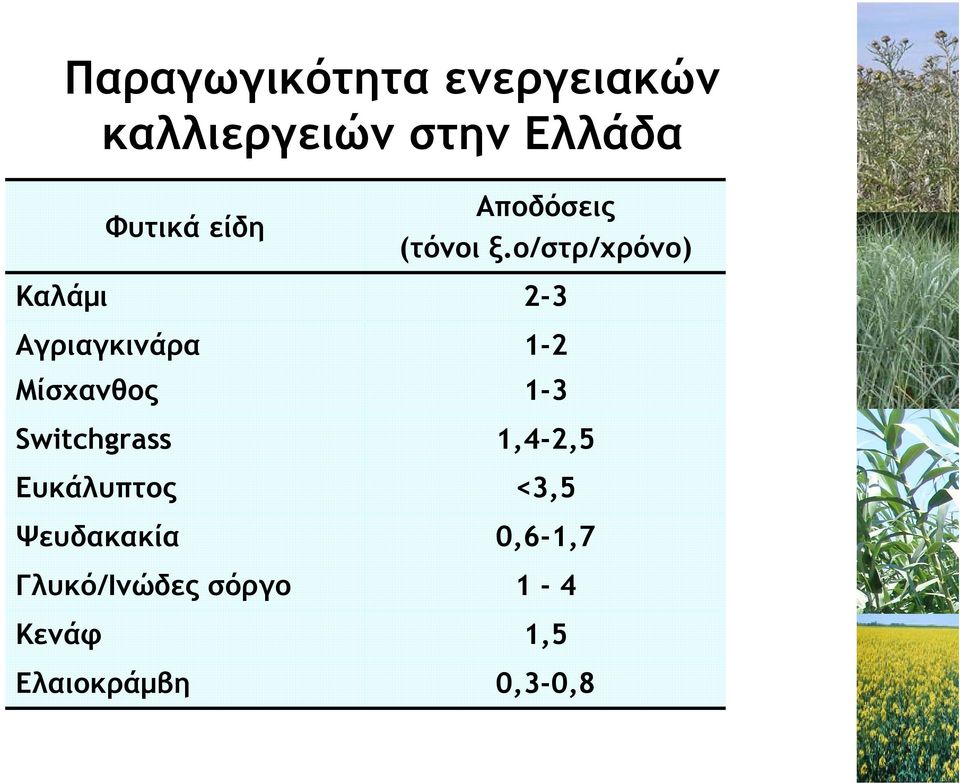 Ψευδακακία Γλυκό/Ινώδες σόργο Κενάφ Ελαιοκράµβη Αποδόσεις