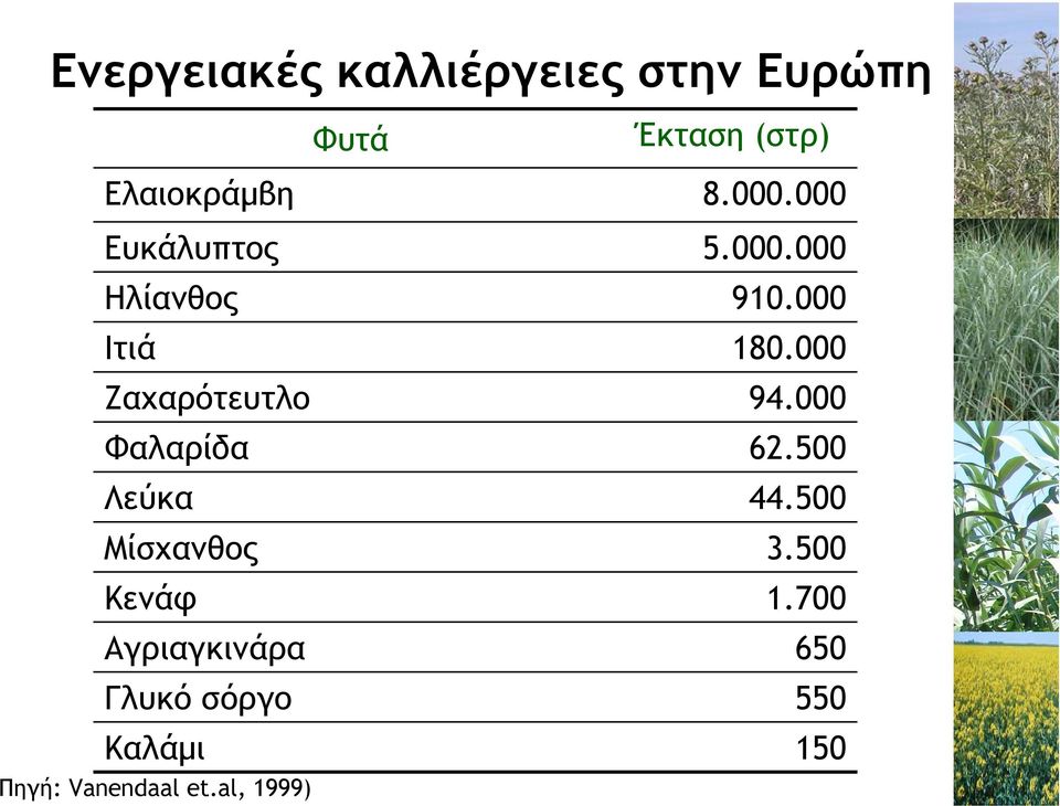 Αγριαγκινάρα Γλυκό σόργο Καλάµι Πηγή: Vanendaal et.al, 1999) 8.000.