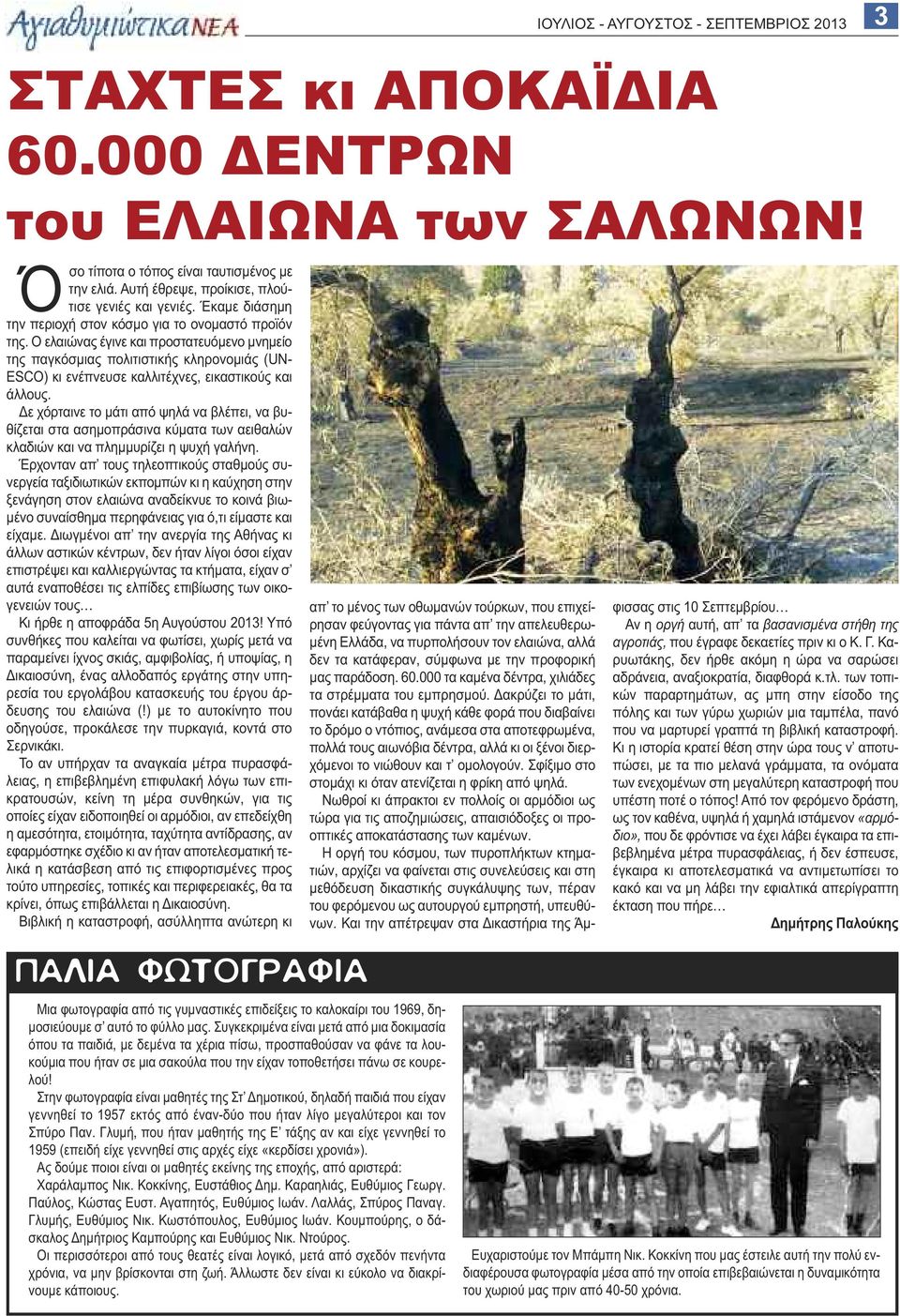 Ο ελαιώνας έγινε και προστατευόμενο μνημείο της παγκόσμιας πολιτιστικής κληρονομιάς (UN- ESCO) κι ενέπνευσε καλλιτέχνες, εικαστικούς και άλλους.