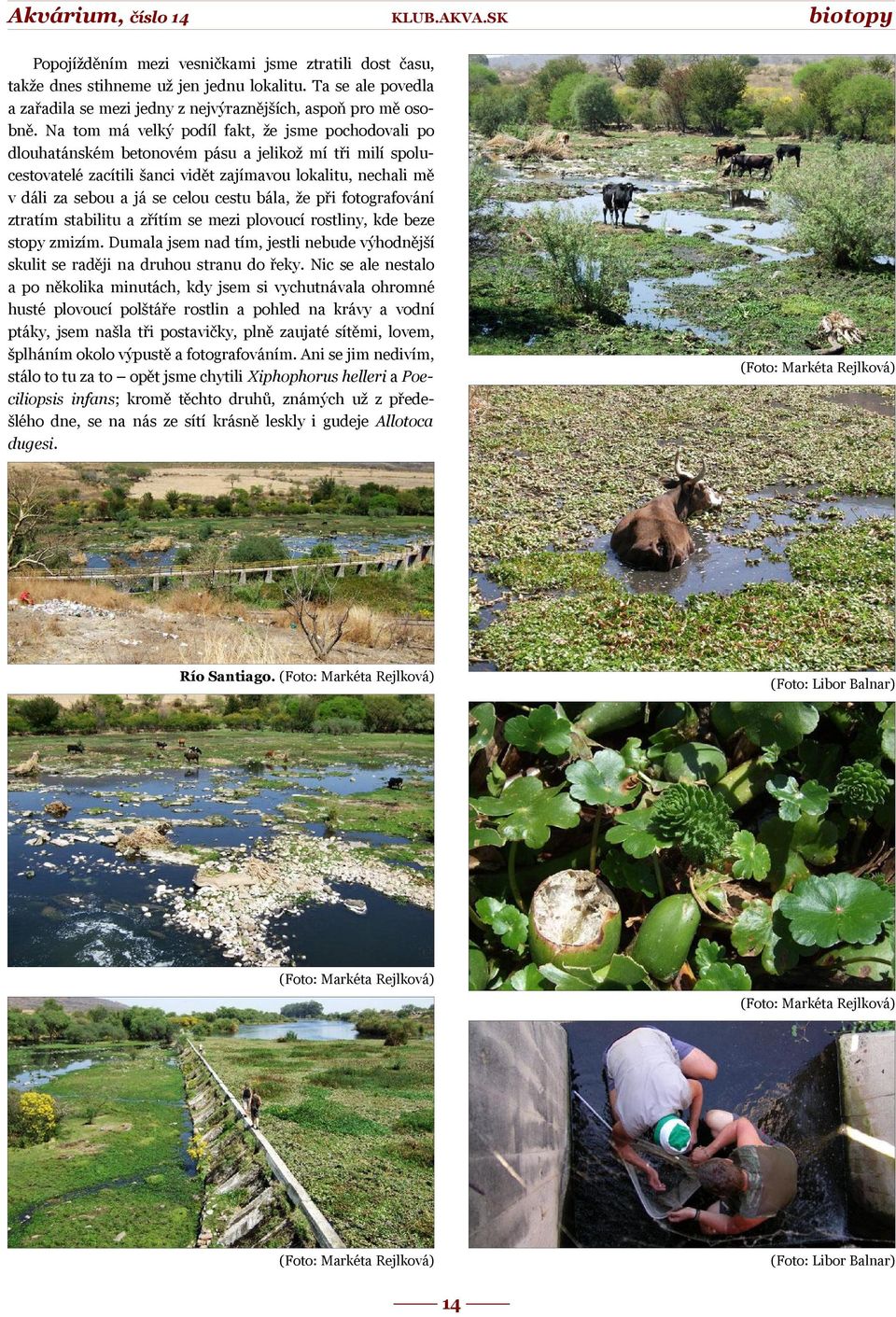 celou cestu bála, že při fotografování ztratím stabilitu a zřítím se mezi plovoucí rostliny, kde beze stopy zmizím.