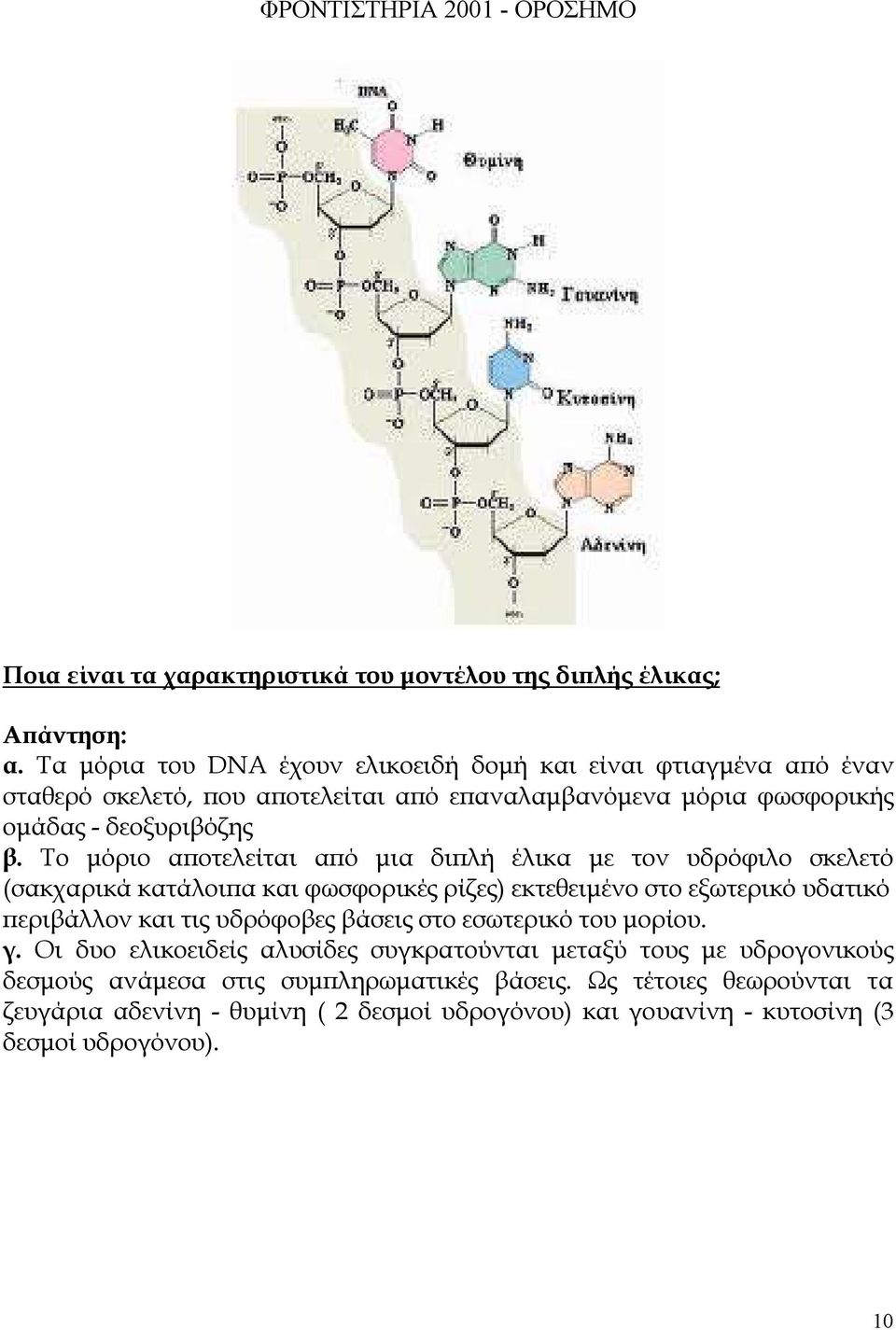 Το µόριο α οτελείται α ό µια δι λή έλικα µε τον υδρόφιλο σκελετό (σακχαρικά κατάλοι α και φωσφορικές ρίζες) εκτεθειµένο στο εξωτερικό υδατικό εριβάλλον και τις υδρόφοβες