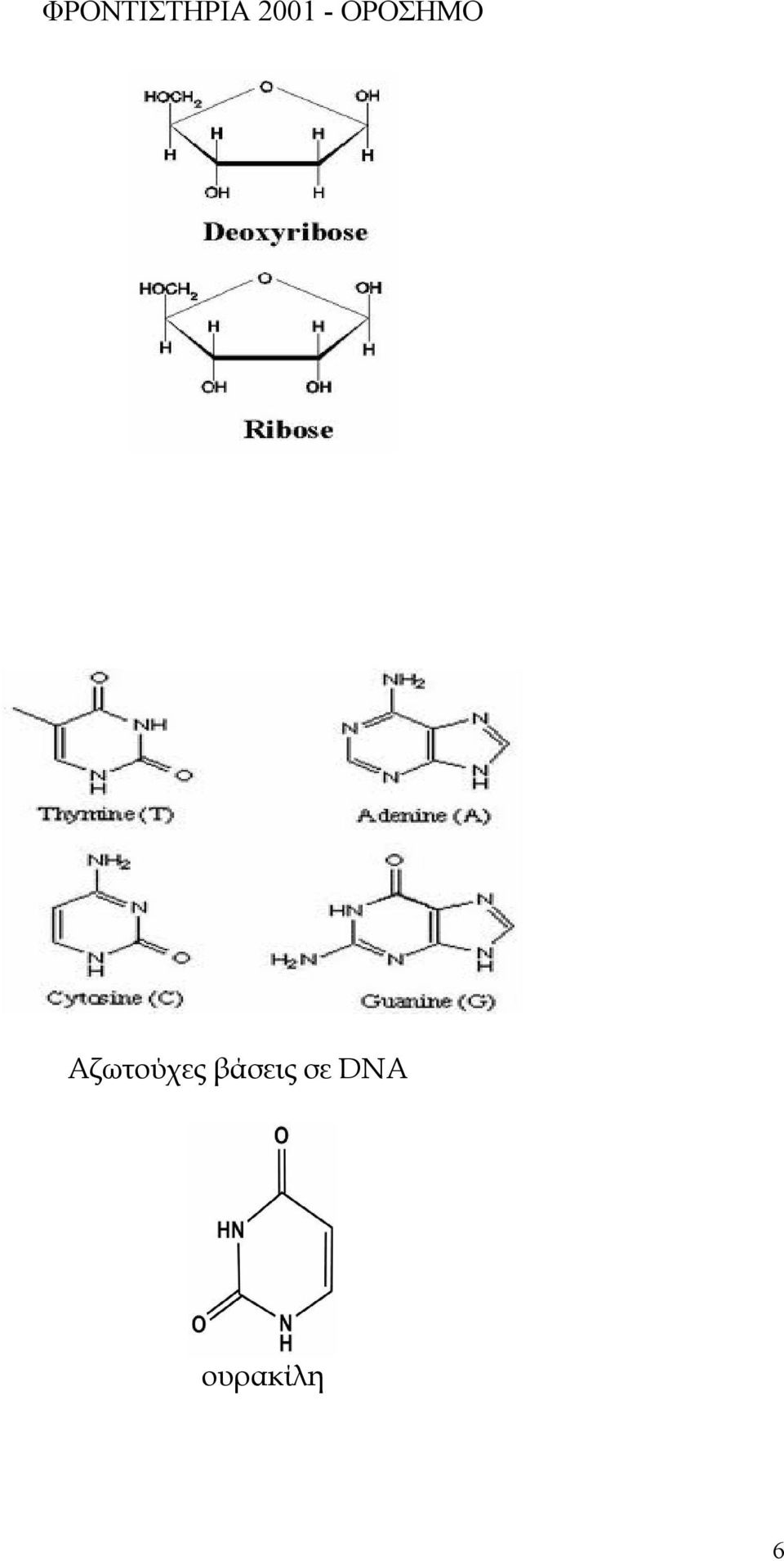 DNA