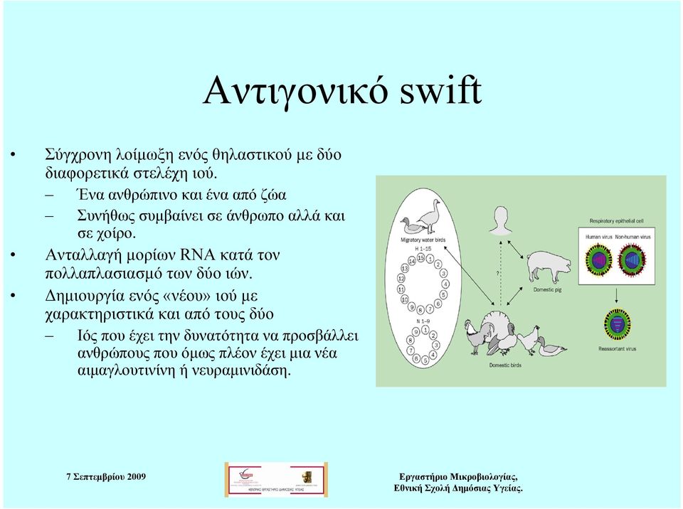 Ανταλλαγή μορίων RNA κατά τον πολλαπλασιασμό των δύο ιών.