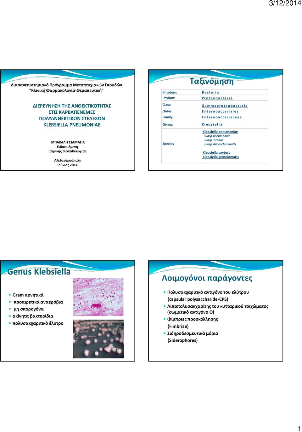 rhinoscleromatis Klebsiella oxytoca Klebsiella granulomatis Genus Klebsiella Gram αρνητικά προαιρετικά αναερόβια μη σπορογόνα ακίνητα βακτηρίδια πολυσακχαριτικό έλυτρο Λοιμογόνοι παράγοντες